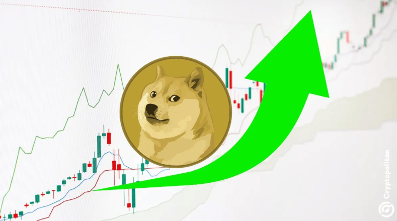 马斯克再次发推，SHIB瞬间上上涨狗狗币%